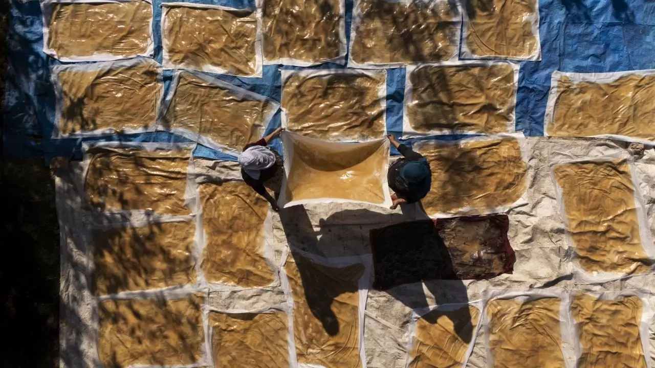 Mardin’de bağ bozumu geleneği sürüyor 1