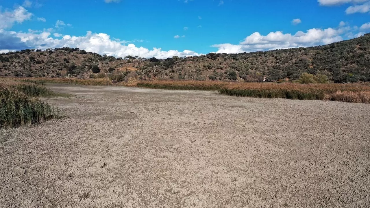Ege’nin kartpostallık gölü kuruyor! Kuşlar ve canlılar ölümle mücadele ediyor 1