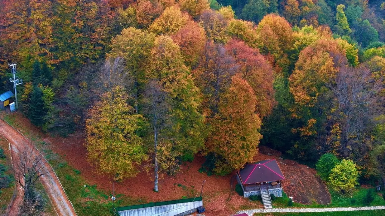 Güzeldere Şelalesi Tabiat Parkı'nda sonbahar renkleri 8