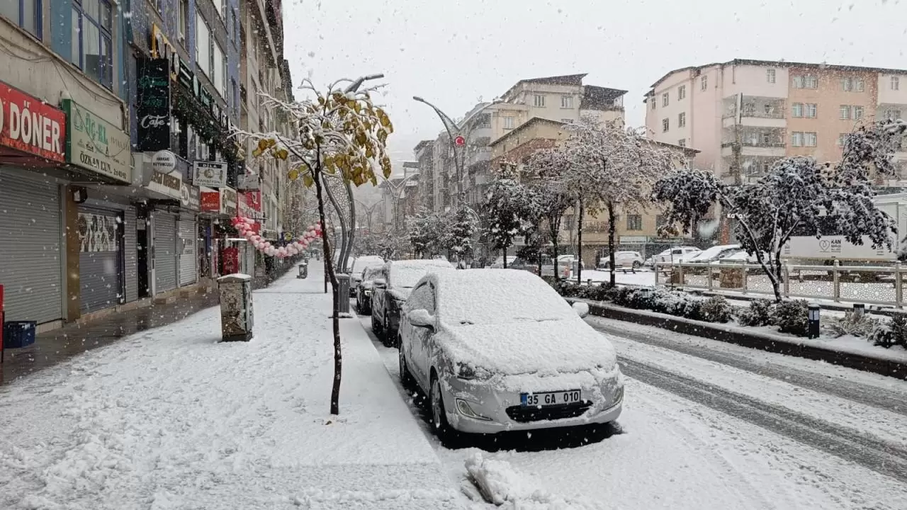 Doğu’da kış yüzünü gösterdi: 3 il beyaza büründü 12