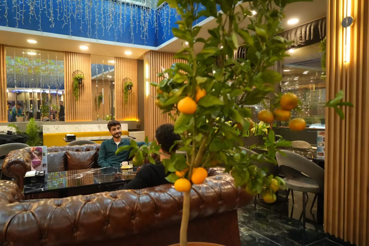 Kafe'de yetiştirilen mandalina ağaçları, müşterileri büyülüyor! 2