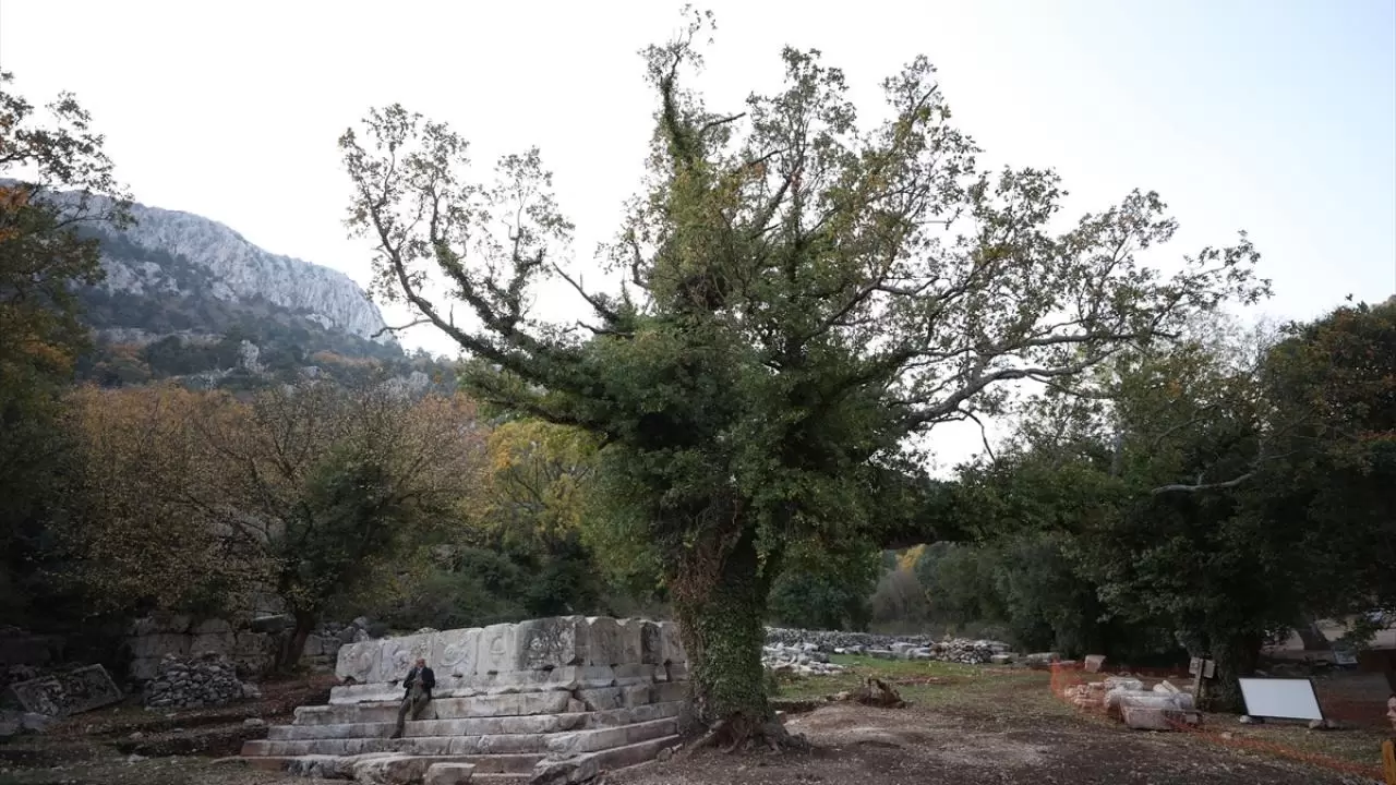 Termessos'taki iki anıt mezar ayağa kaldırılıyor 10