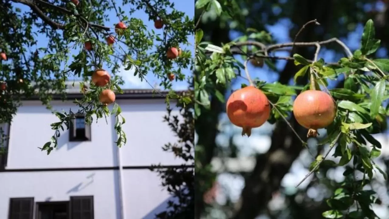 Selanik Atatürk'ün evinden görüntüler 2