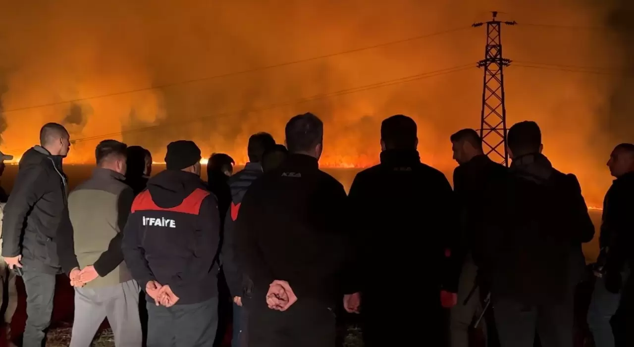 Kuş cenneti Nehil Sazlığı'nda yangın! 4