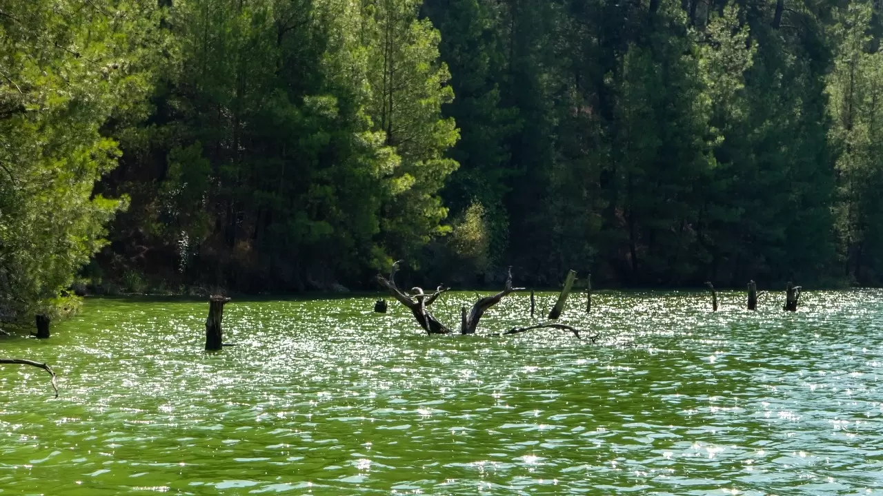 Doğaseverler Karacaören 2 Baraj Gölü'nü tekneyle geziyor 4