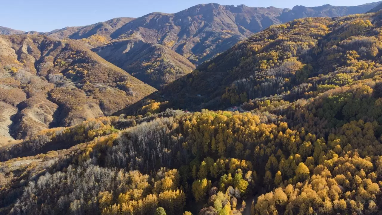 Tunceli'nin gizli cenneti: Salördek Ormanları 2