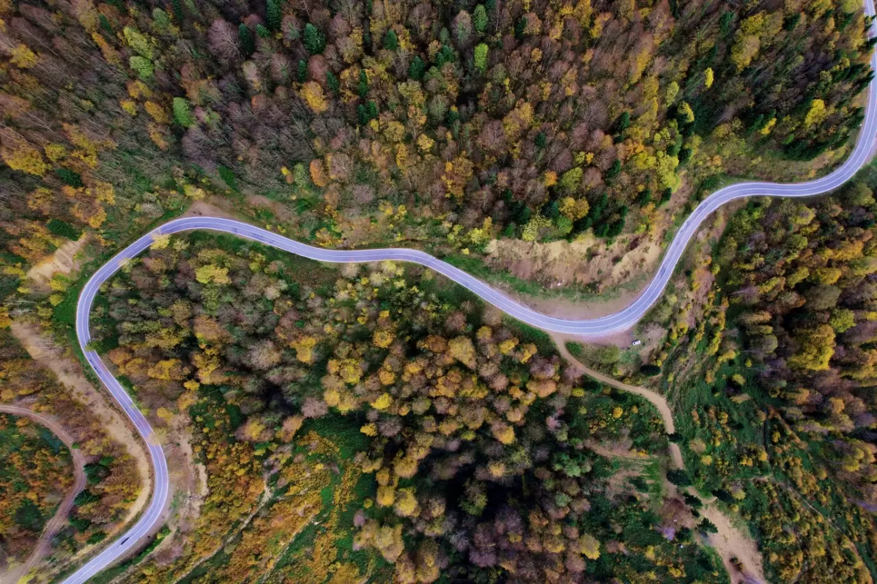 Sonbaharda Çam Dağı'nda renk cümbüşü: Doğanın görsel şöleni 1
