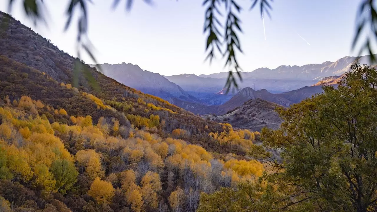 Tunceli'nin gizli cenneti: Salördek Ormanları 13