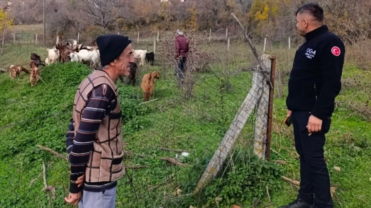 Dronla kayıp sürü bulundu: 30 hayvan 1 günde kurtarıldı! 5
