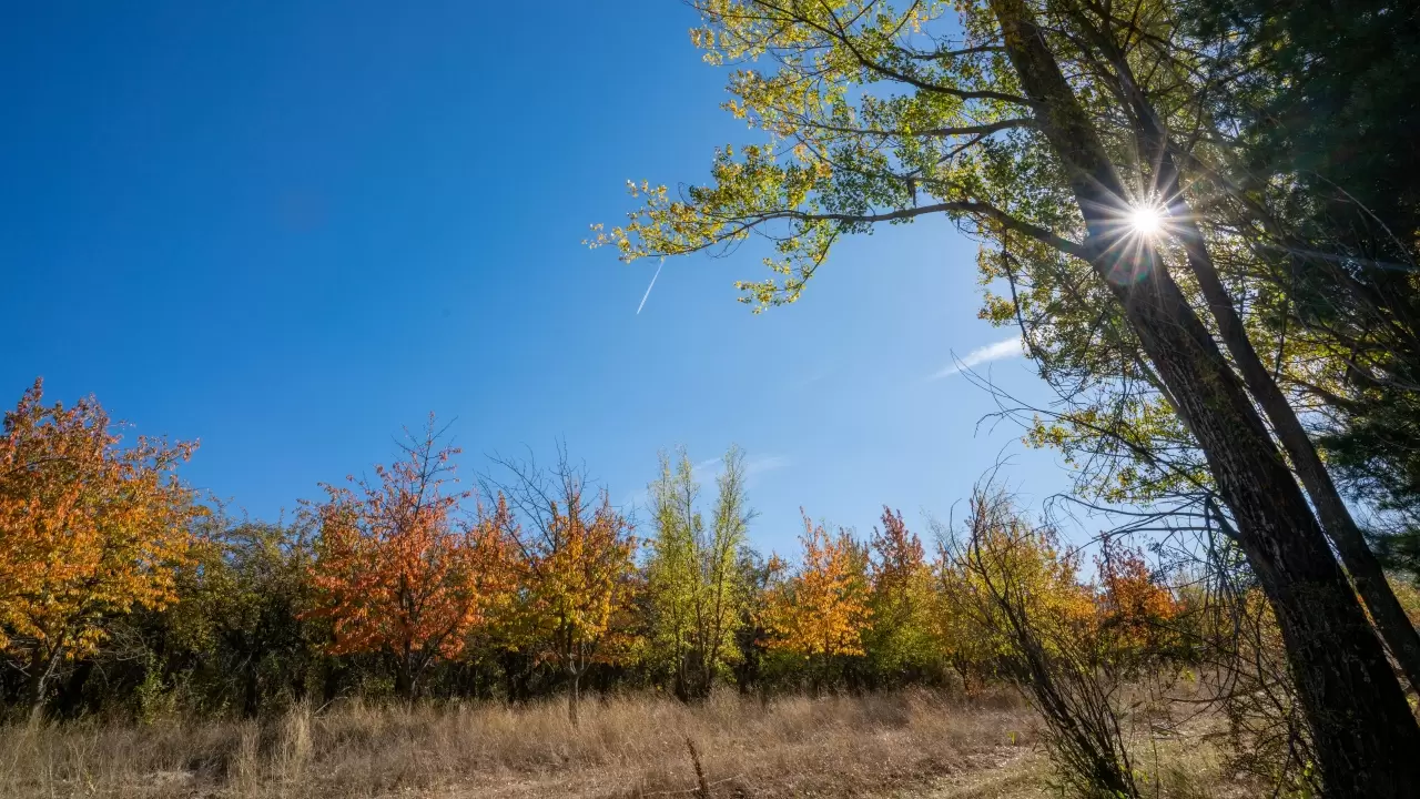 Gölcük Tabiat Parkı’nda sonbahar renk cümbüşü büyülüyor 19