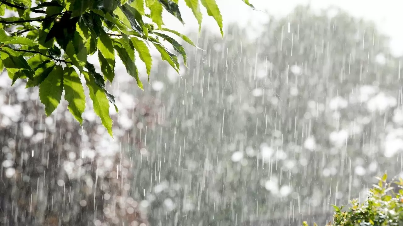 Meteoroloji’den uyarı: Birçok bölgede sağanak, sis ve pus etkili olacak 10
