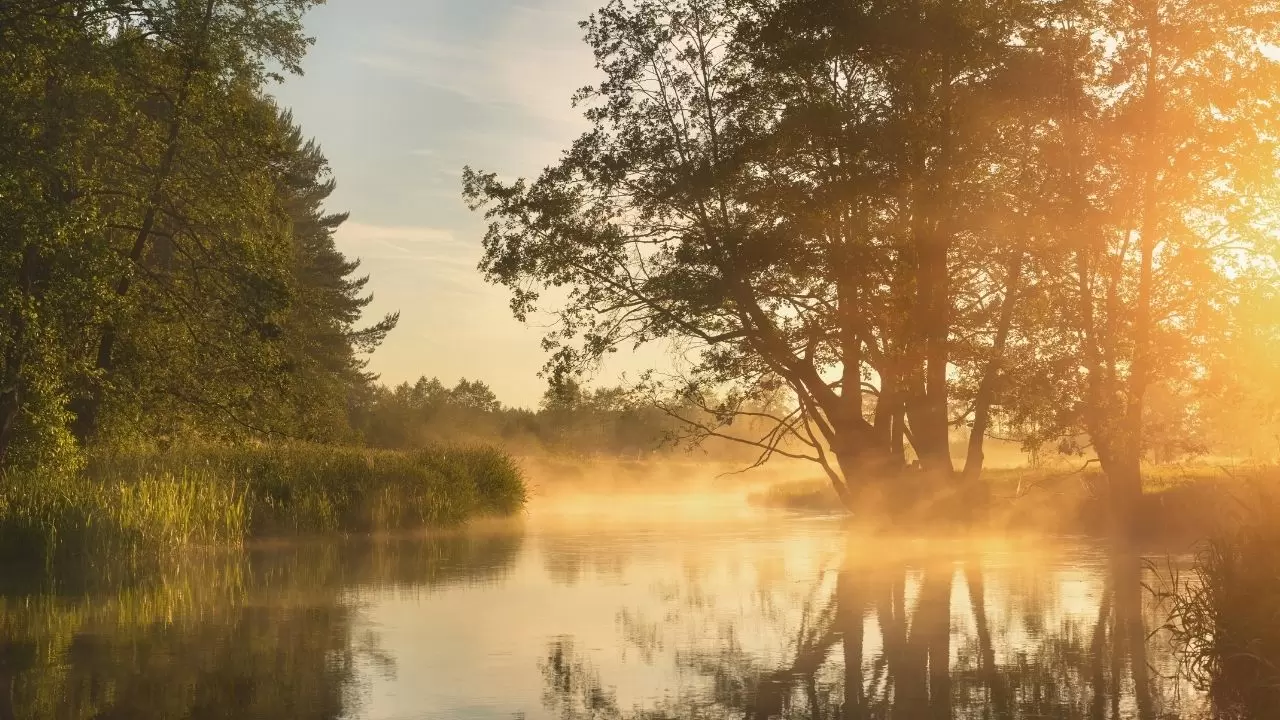 Meteoroloji’den kritik uyarı: Bu bölgelerde yağış, sis ve kar geri dönüyor! İl il hava durumu 4