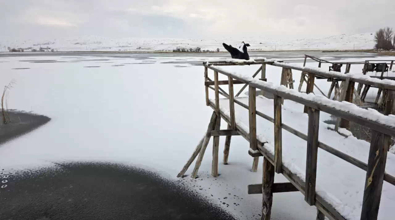 Sivas’ta soğuk hava etkisini artırdı: Hafik Gölü beyaza büründü 1