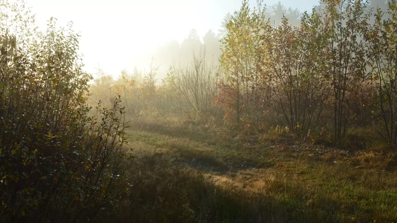 Dikkat! Türkiye’de hava durumu alarmı: Şiddetli yağış ve kar geliyor! 3