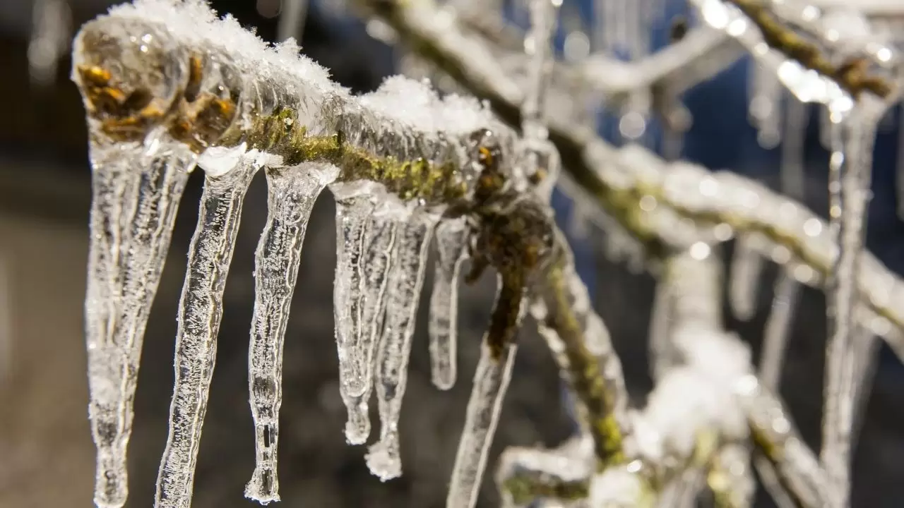 Meteoroloji’den 81 ile kritik uyarı! Kuvvetli sağanak, fırtına ve kar geliyor: İşte il il hava durumu 2