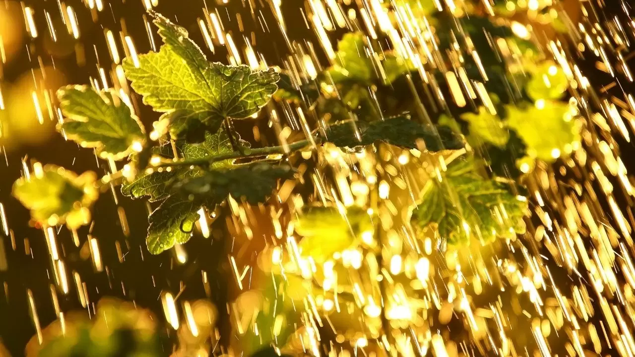 Hava koşulları kötüleşiyor: Türkiye’ye sis, yağmur ve kar uyarısı 3