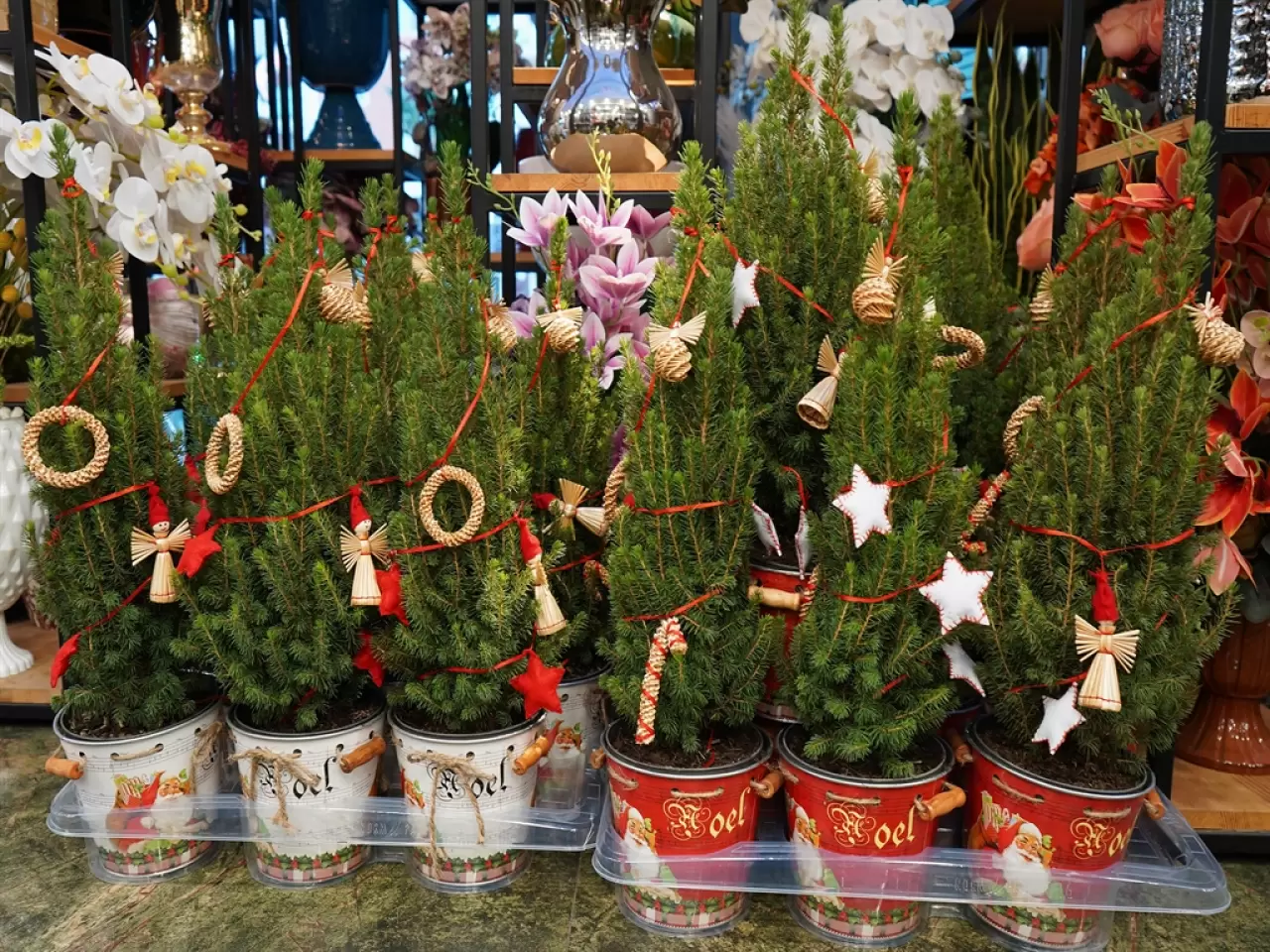 Yılbaşı sepetleri cep yakıyor: Fiyatlar 12 bin TL’ye dayandı! 5