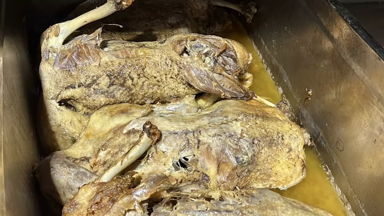 Samsun’un efsane lezzeti kaz tiridine ilgi arttı! 5