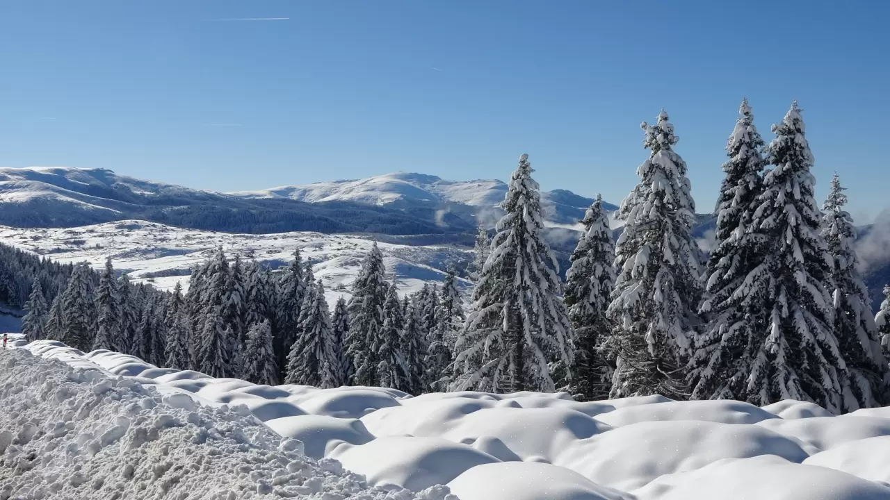 Ordu'nun Çambaşı Yaylası beyaza büründü 5