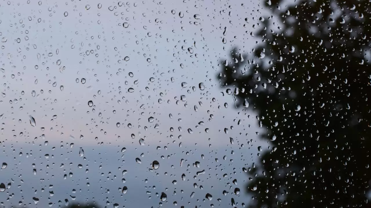 Türkiye’de hava hareketlendi: Yoğun sis ve sağanak yağış uyarısı! 6