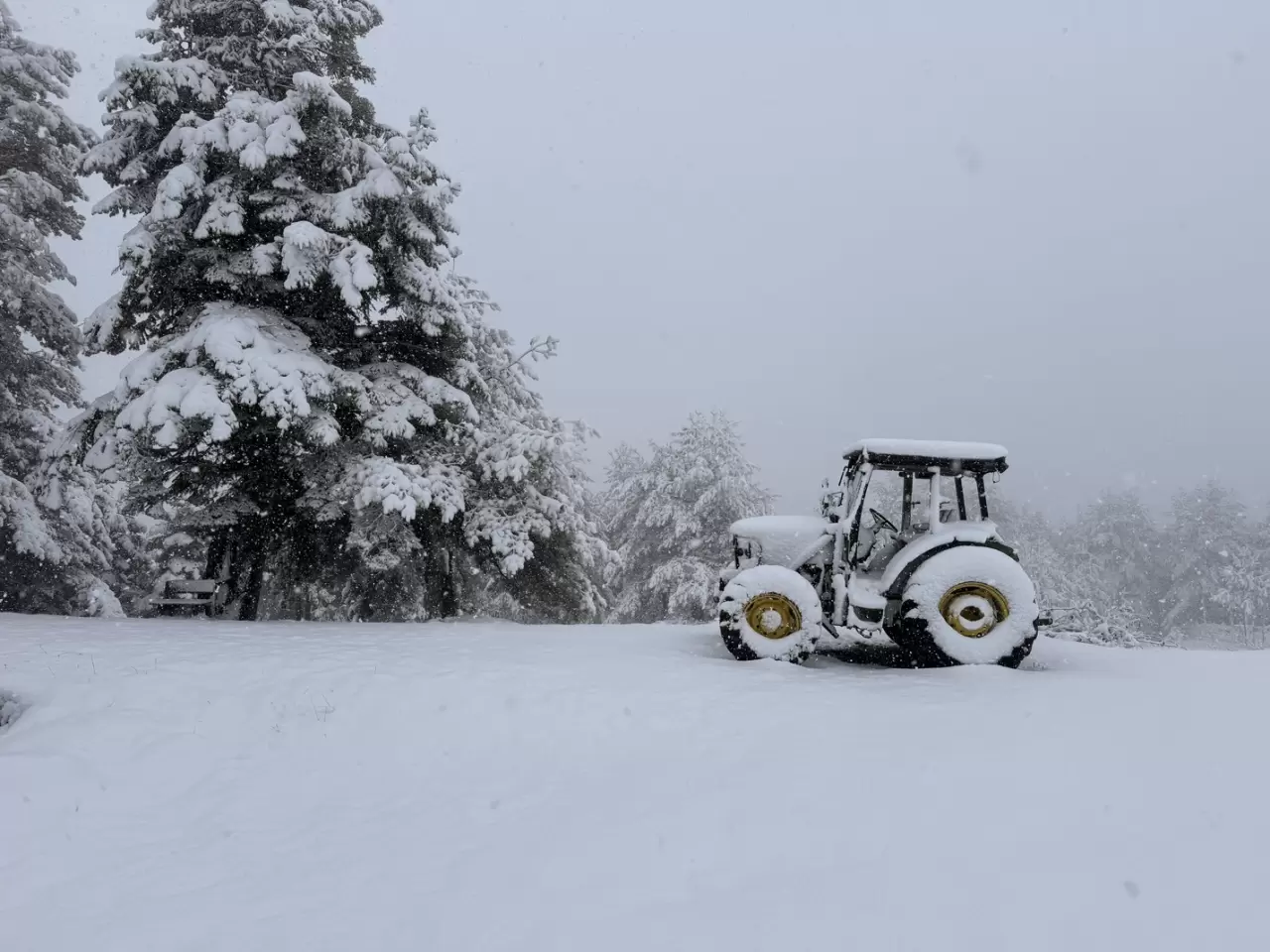 Samsun'un Kızlan Yaylası'nda kar etkili oldu 3