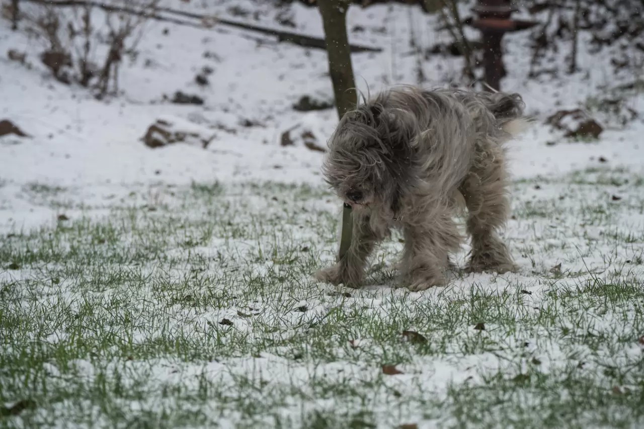 Kiev’e kışın ilk karı düştü: Savaş gölgesinde beyaz örtü 1