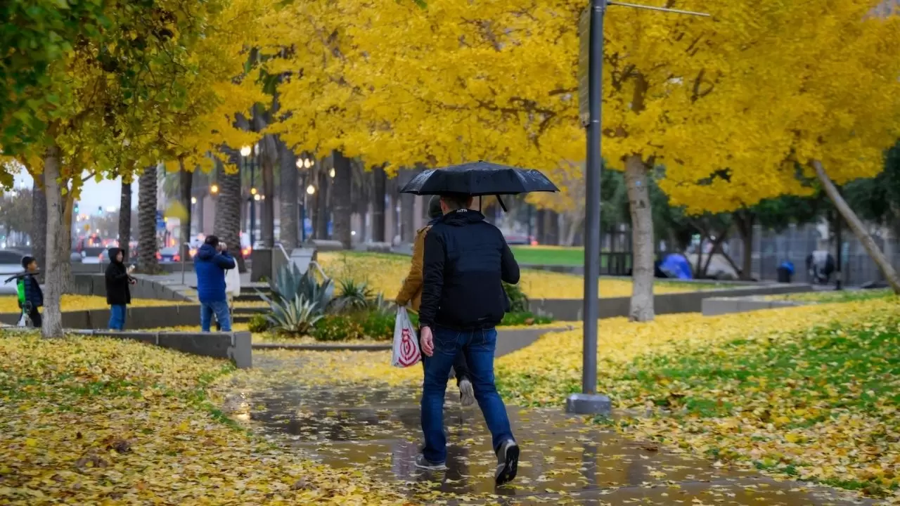 Atmosferik nehir fırtınası San Francisco’yu vurdu: Günlük hayat durdu 9