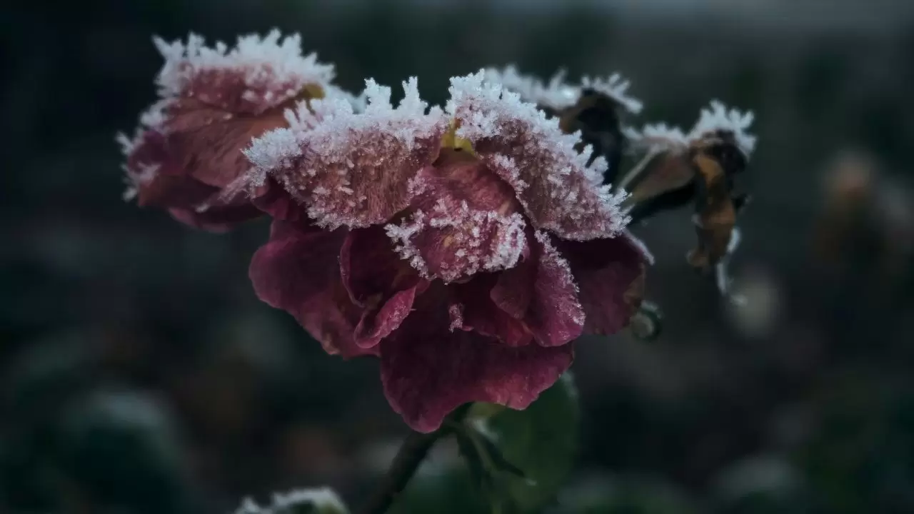 Türkiye genelinde hava değişiyor! Sıcaklıklar hızla düşecek, bazı bölgelerde kuvvetli yağış alarmı 8