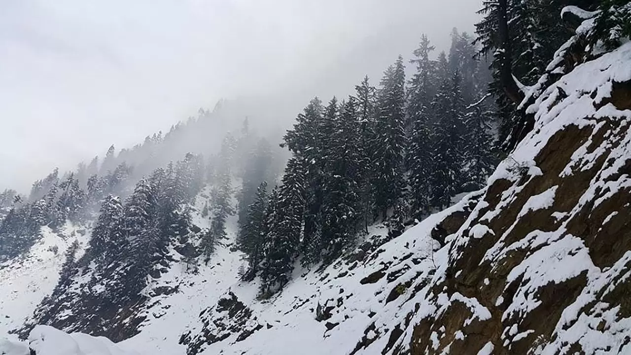 Meteoroloji’den kritik uyarı: Bu bölgelerde yağış, sis ve kar geri dönüyor! İl il hava durumu 8