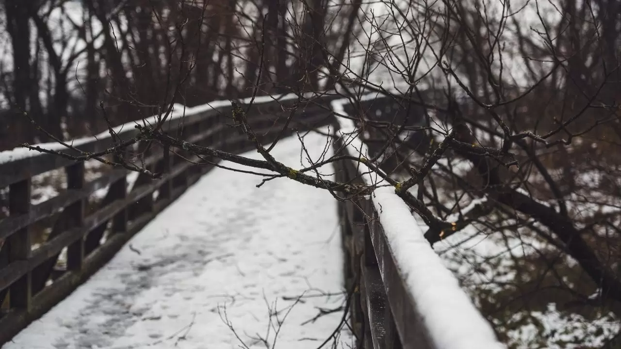 Meteoroloji uyardı: İstanbul’dan Doğu Anadolu’ya şiddetli yağış geliyor! 7