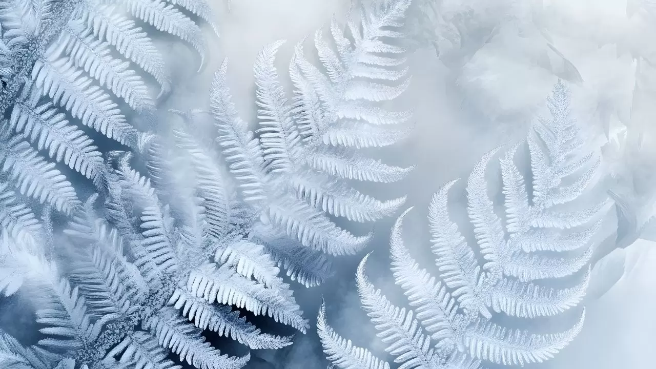 Meteoroloji uyardı: Türkiye’ye kar, fırtına ve kuvvetli yağış dalgası geliyor 3