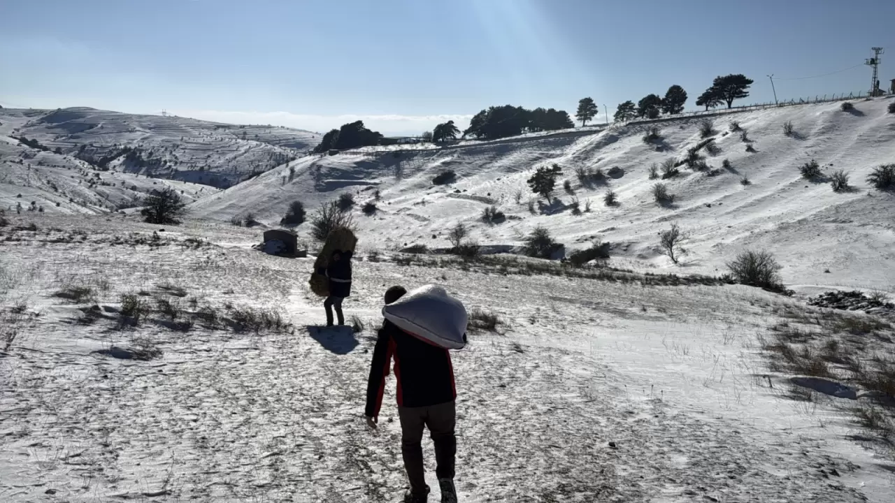 Alaçam’da kış kendini gösterdi! Ormanlar beyaza büründü 1
