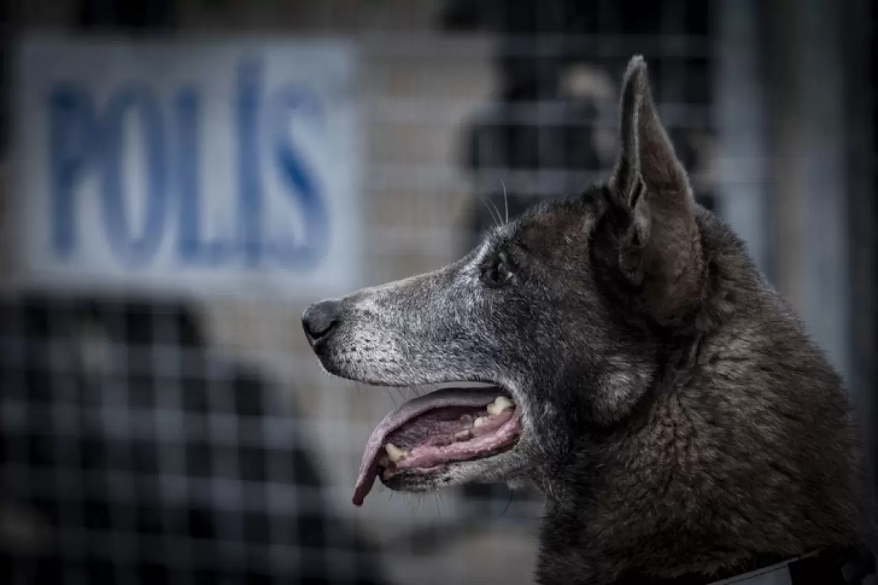 Sessiz kahraman Melo: 8 yılda 160 görevde hayatlara dokundu 14