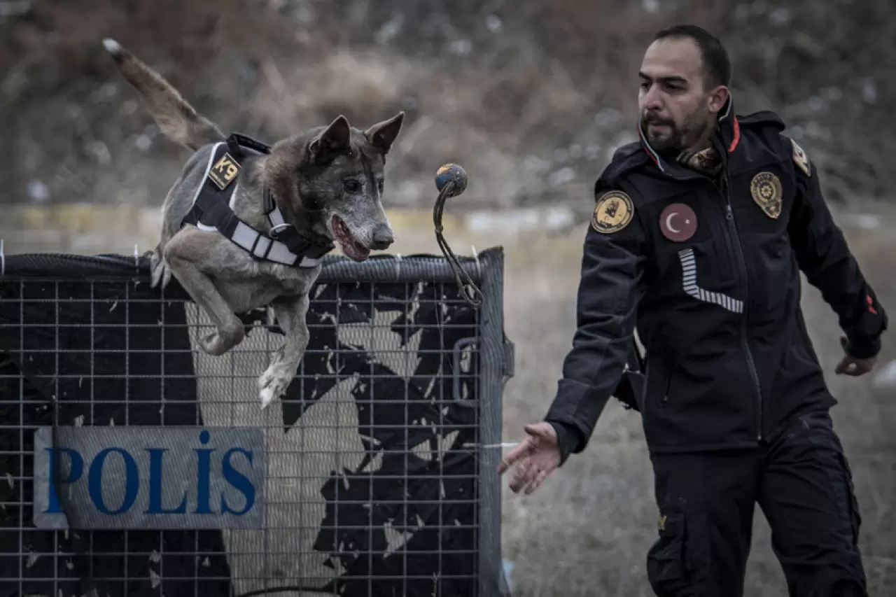 Sessiz kahraman Melo: 8 yılda 160 görevde hayatlara dokundu 6