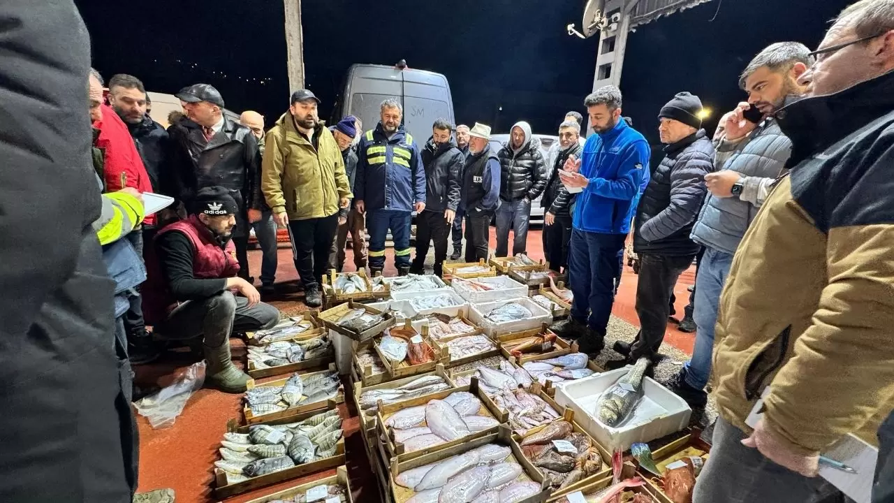 Balık hallerinde büyük tablo! Satışların yarısı tek türden çıktı 3