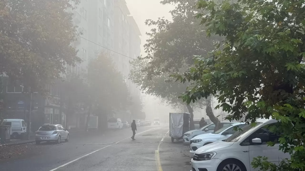 Diyarbakır’da yoğun sis ulaşımı olumsuz etkiledi 4