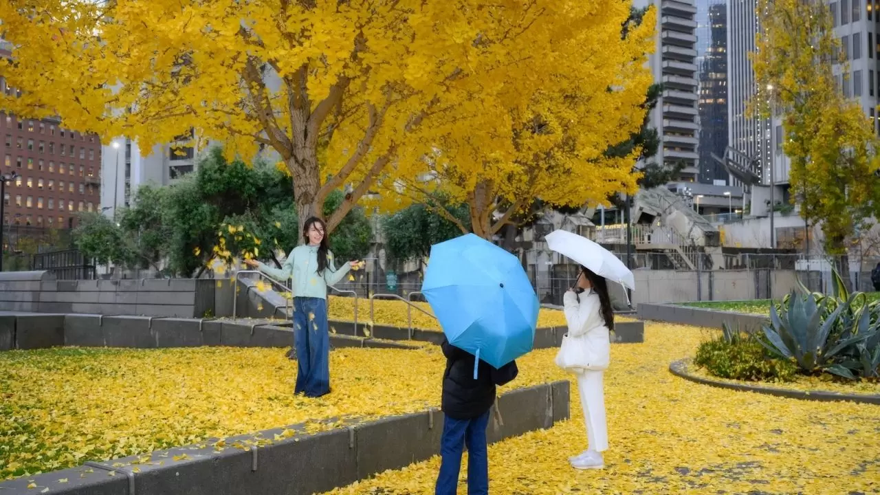 Atmosferik nehir fırtınası San Francisco’yu vurdu: Günlük hayat durdu 12