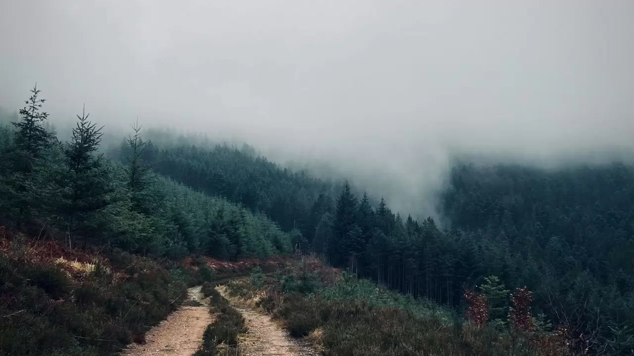 Dikkat! 81 il sis, buzlanma ve don riski altında 6