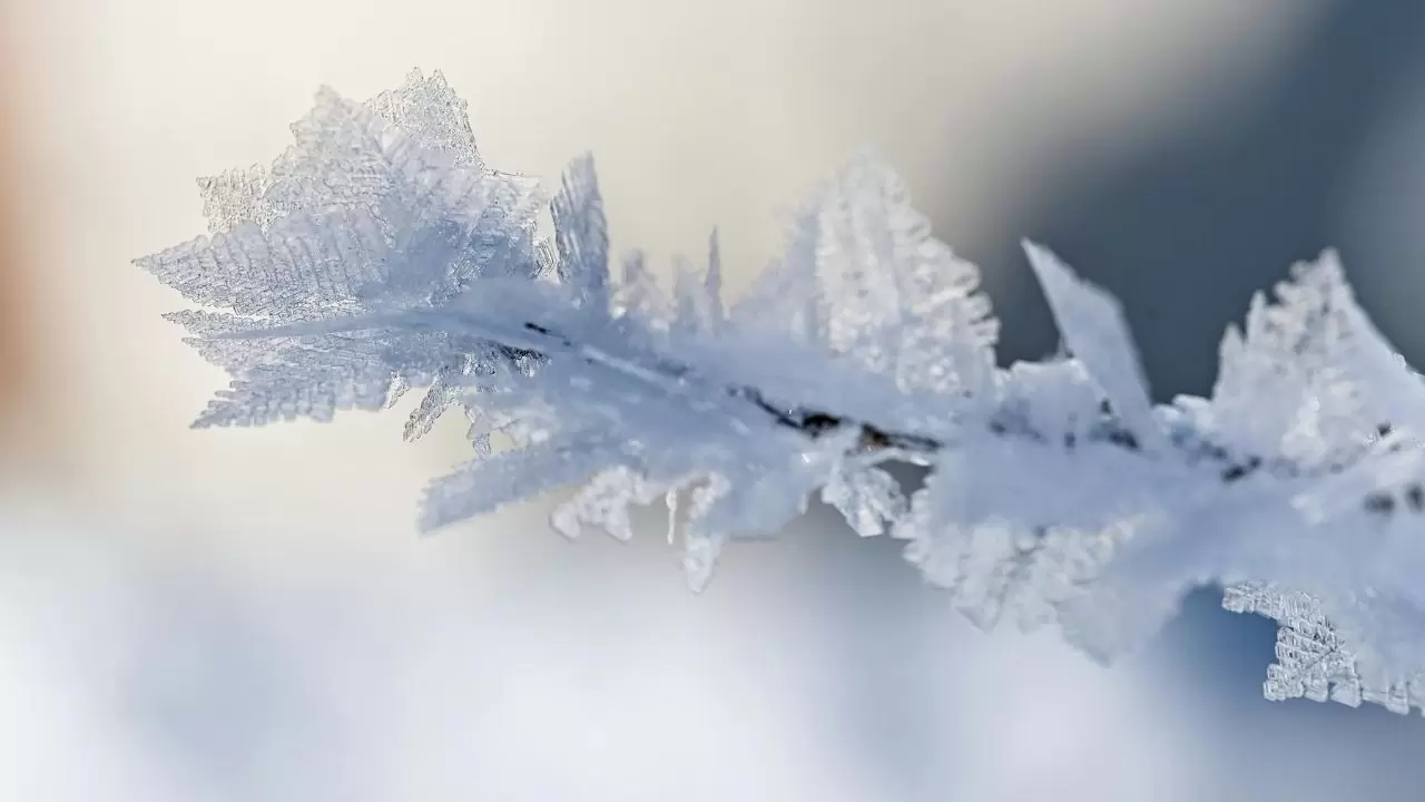 Meteoroloji uyardı: Sürücüler dikkat! Don ve pus geliyor 4
