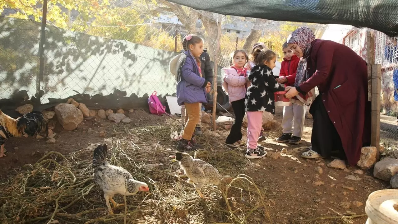Zorluklara meydan okuyan Çukurköy öğretmenleri: Dağların ardından gelecek aydınlatıyor! 4