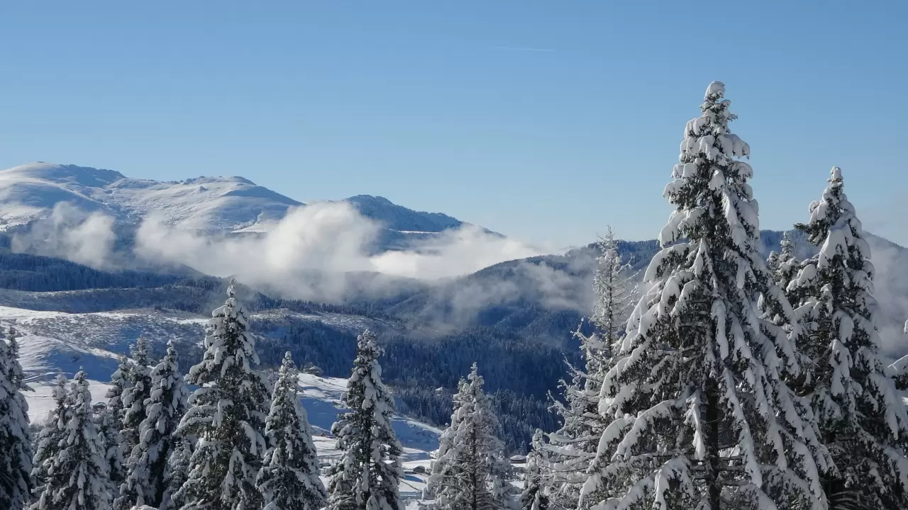 Ordu'nun Çambaşı Yaylası beyaza büründü 1