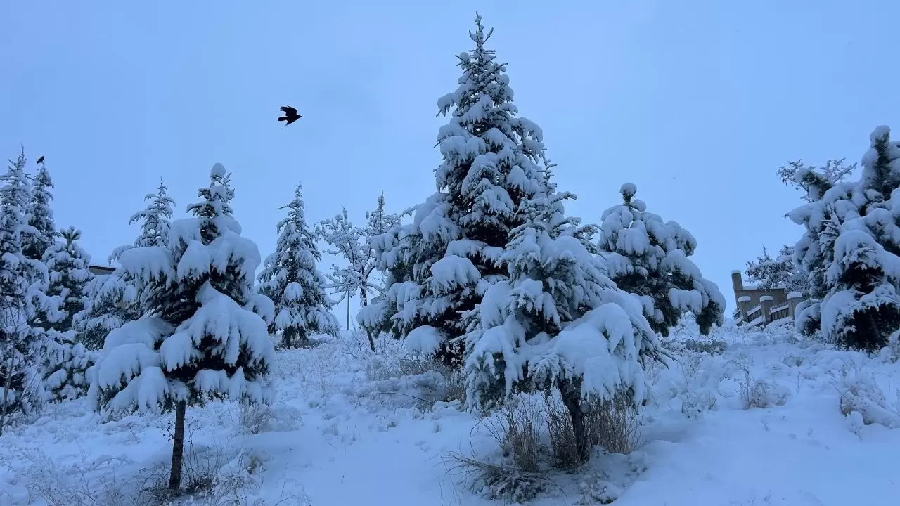 Van’da yoğun kar yağışı: Uçak seferleri rötar yaptı 5