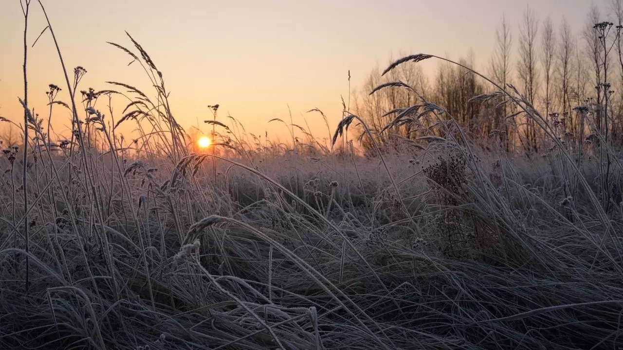 Hava koşulları kötüleşiyor: Türkiye’ye sis, yağmur ve kar uyarısı 9