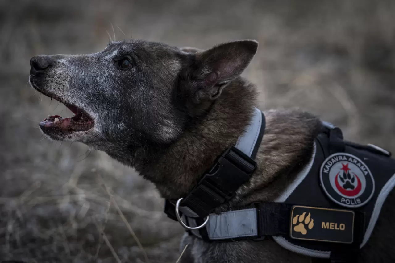 Sessiz kahraman Melo: 8 yılda 160 görevde hayatlara dokundu 13