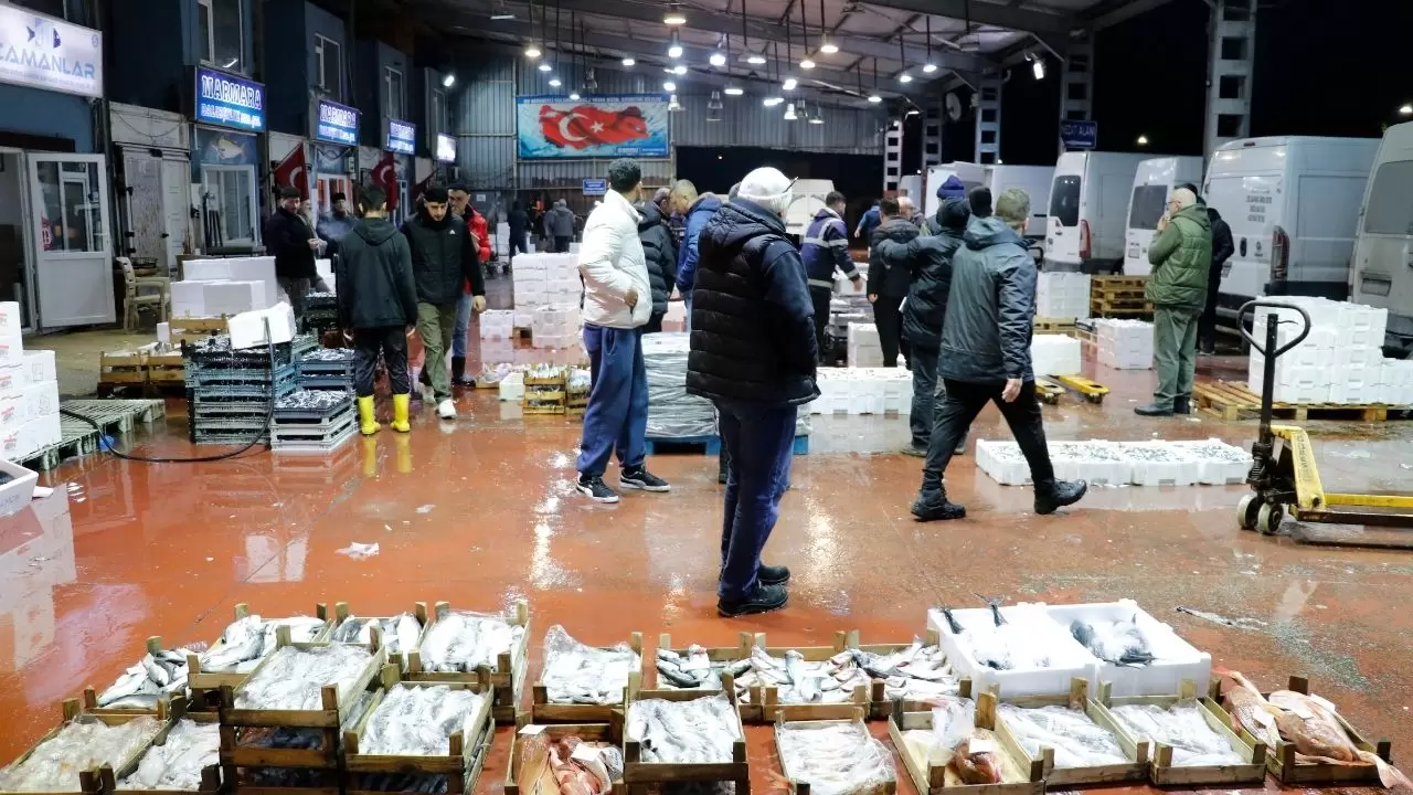 Balık hallerinde büyük tablo! Satışların yarısı tek türden çıktı 4