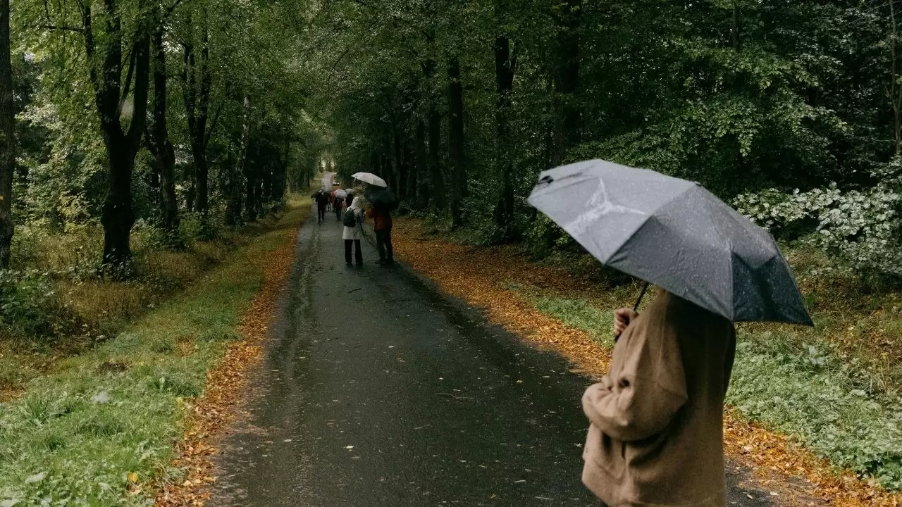 Türkiye’de hava hareketlendi: Yoğun sis ve sağanak yağış uyarısı! 2