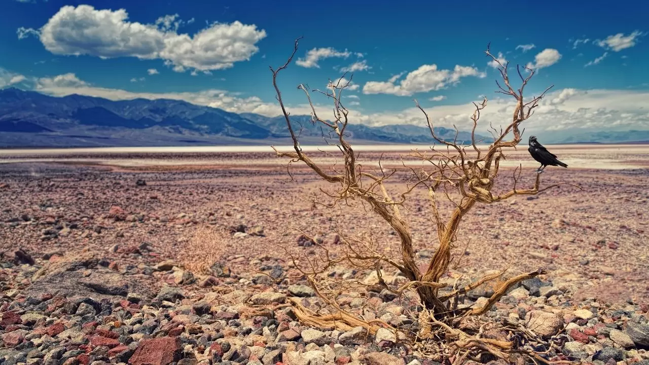 Türkiye’de 52 yılın en kurak su yılı: Yağışlar tarihi düşüşte! 6