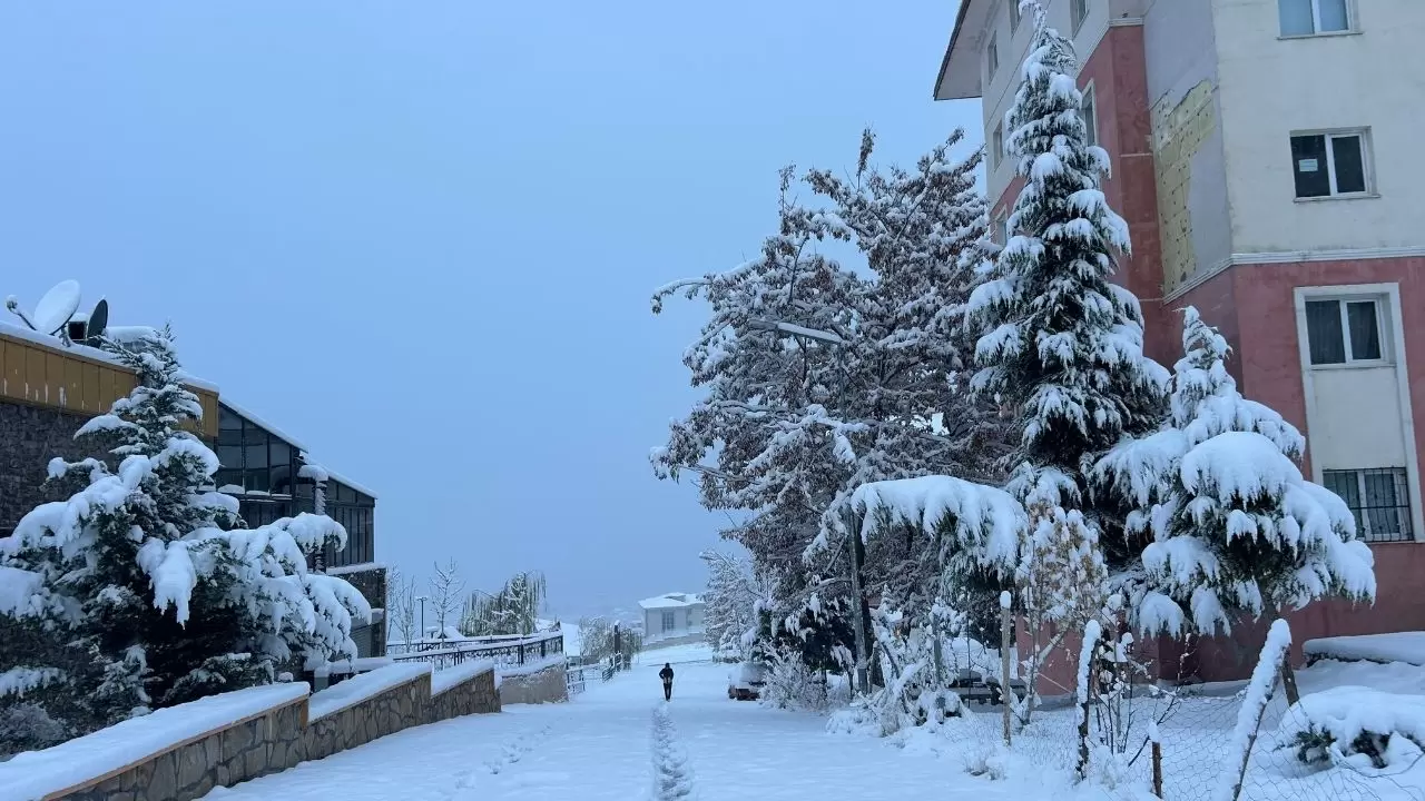 Van’da yoğun kar yağışı: Uçak seferleri rötar yaptı 2