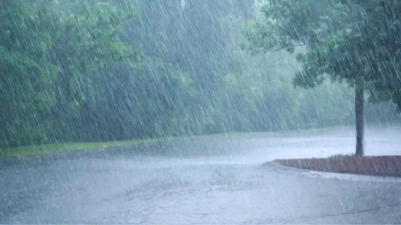 Meteoroloji uyardı: Bir yanda bahar havası, bir yanda kar ve don tehlikesi 6