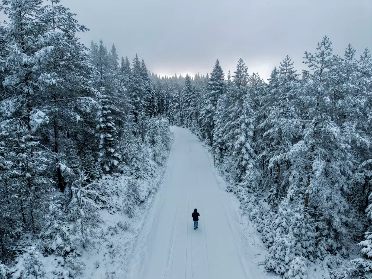 Kastamonu'nun yüksek kesimleri beyaza büründü 1